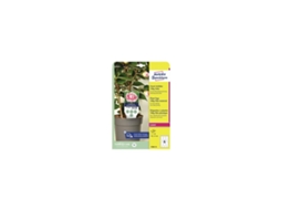 AVERY T3006-10 Pacote de 60 Painéis Plug-In Resistentes Ao Calor