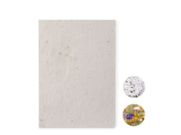Hoja A5 de Papel Con Semillas MIDOCEAN