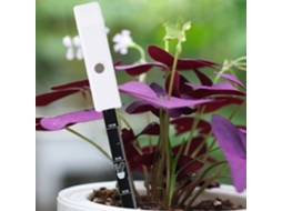 Medidor De Umidade Do Solo Para Plantas Com Luz Leitura, Portátil Jardinagem Em Casa, Quintal E Jardim, Branco