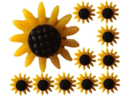 Prego Decorativo Série 5 Com Estampa De Girassol Tachinhas Escritório