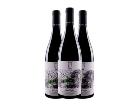 Vinho FAMILLE DE BOEL Assiégés Côtes du Rhône (0.75 L - 3 Unidades)