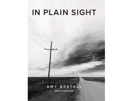 Livro In Plain Sight De Amy Bretall (inglês - Capa Dura)