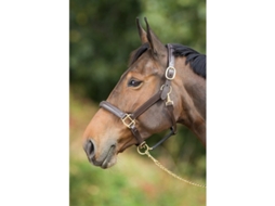 Cabresto de couro forrado para cavalos HFI Raised