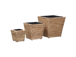 Vidaxl Vasos/floreiras 3 Pcs Jacinto De Água