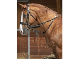 Chambon Thiedeman Castanho Fullnorton Equestrian