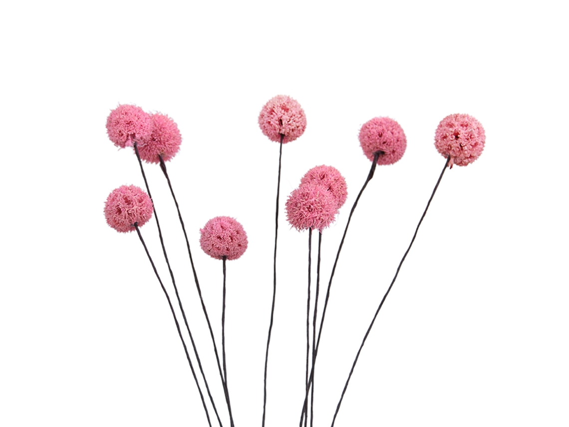 Flores Secas Artificiais Billy Ball para Decoração de Casa e Jardim