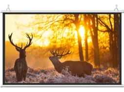 Tela de Projeção Parede 4k Hd Rebaixável 40 Polegadas S/MARCA