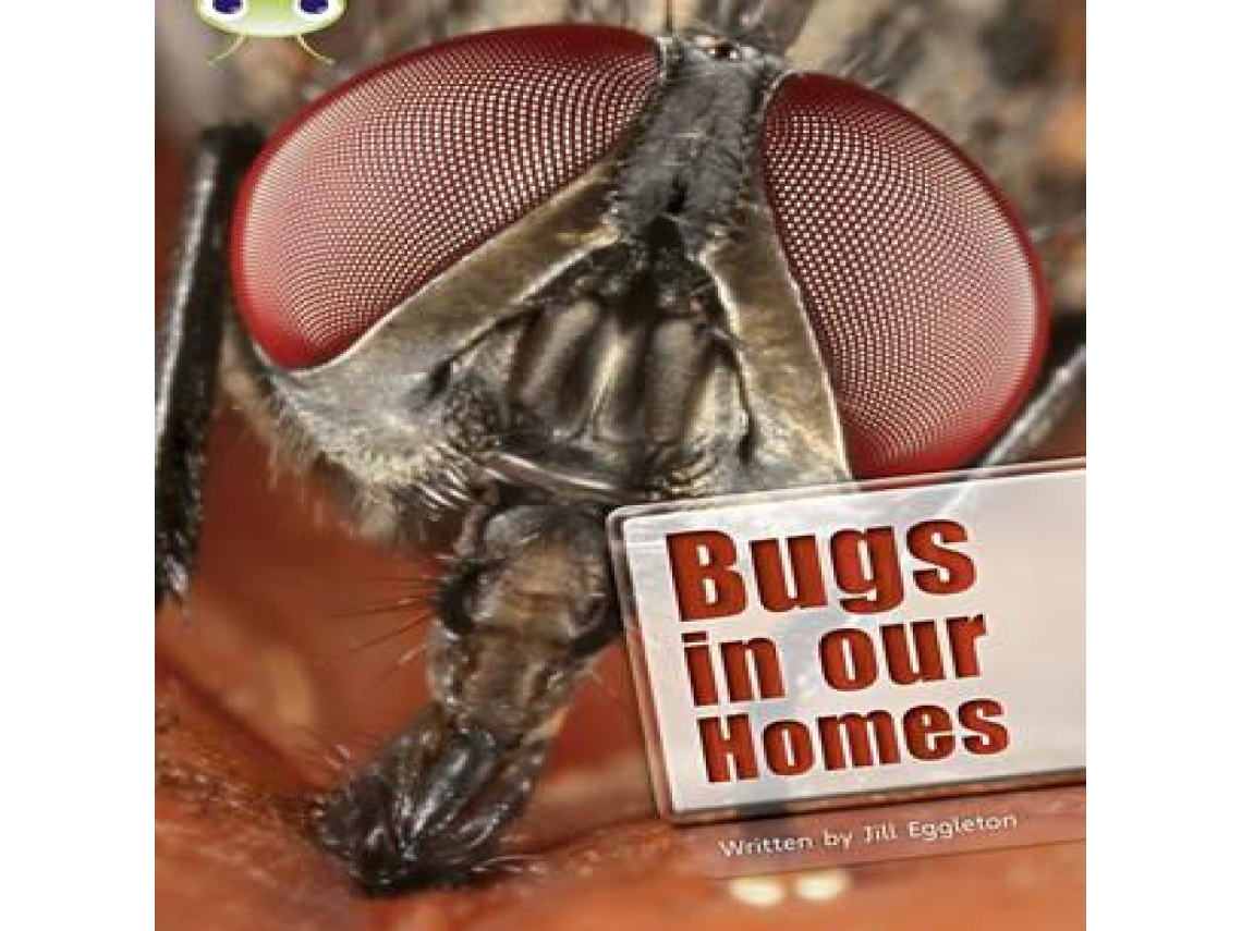 Livro Bug Club Independent Non Fiction Year Two Lime A Bugs in our Homes de Jill Eggleton (Inglês)