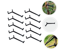 Kit 10 Ferramentas para Modelagem de Galhos, Incluindo Estacas e Suportes de Madeira para Árvores Frutíferas Anãs AQUAFORGE