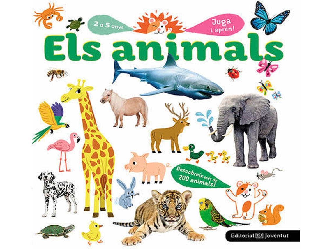 Livro (Espanhol)