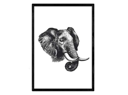 Folhas NACNIC Perfil de Elefante (A4)