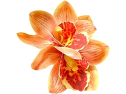 Presilhas De Cabelo Artificiais Com Flores Havaianas, Orquídeas.