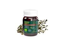 Propomax Propólis Verde 40caps Lehning