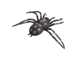 Ats modelo de Aranha Grande Simulado Exquisito e Realista Brinquedo de Aranha para Ensino e Entretenimento Preto