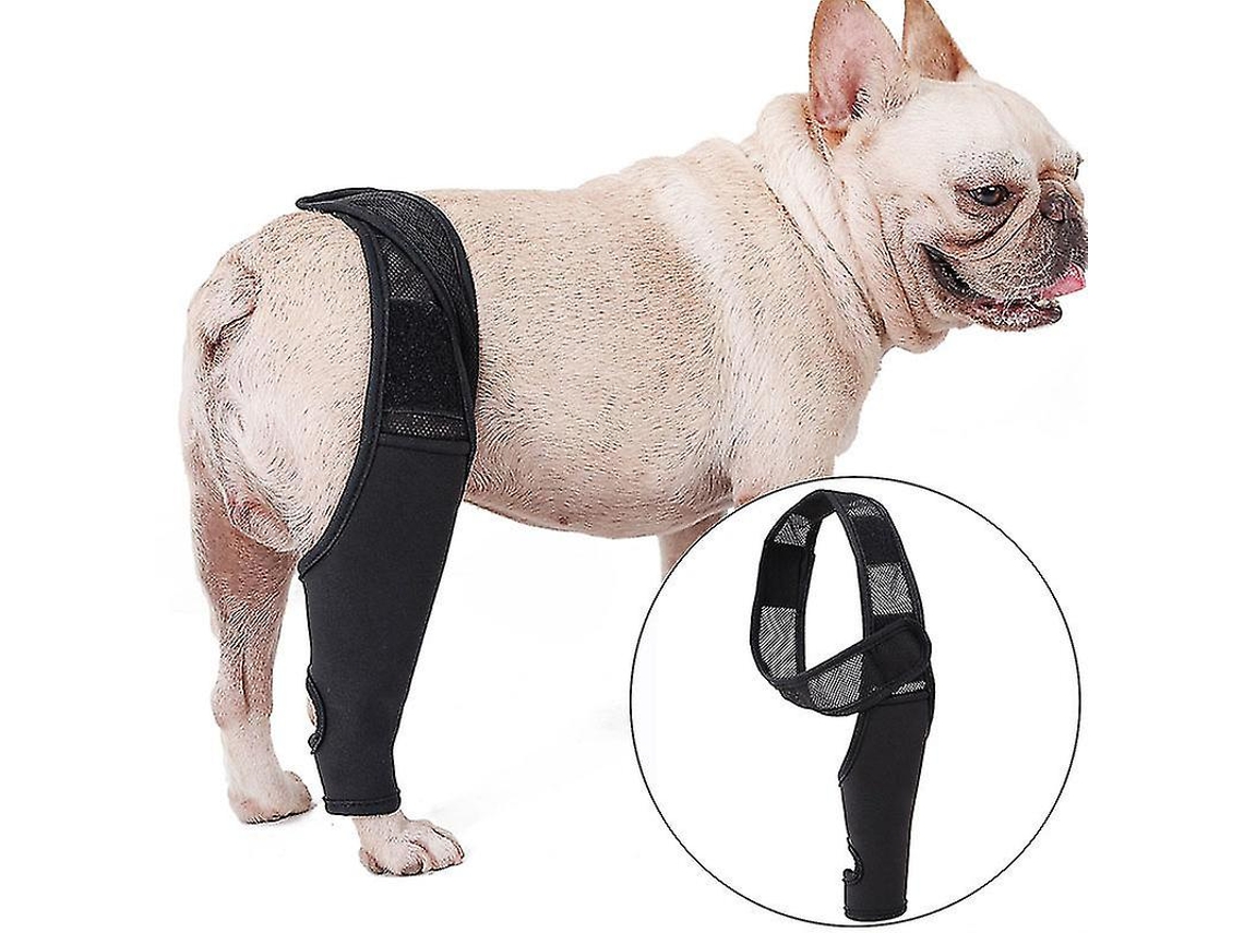 Joelheiras Para Cães Compatíveis Com Lca E Luxação Patelar, Artrite, Mantém A Articulação Aquecida E Com Suporte Extra Aquaforge