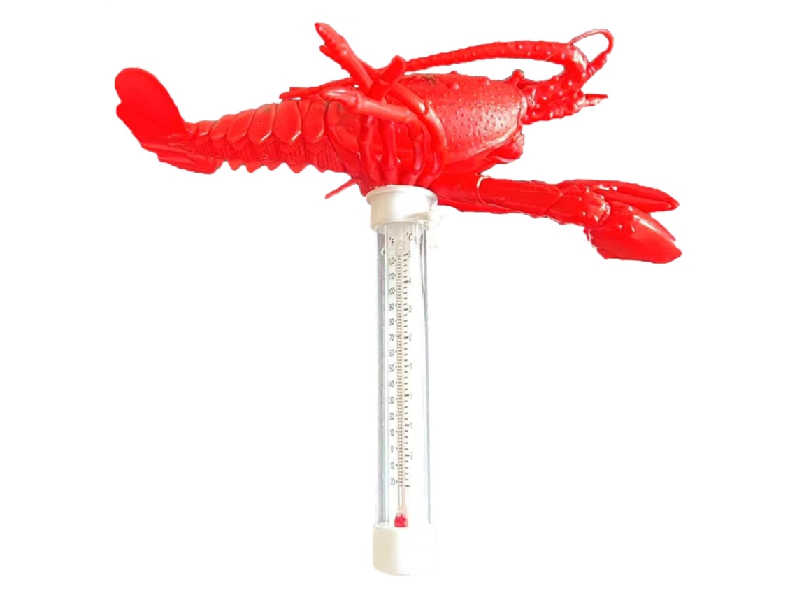 Termômetro Flutuante Para Piscina Com Sensor De Temperatura Da Água.