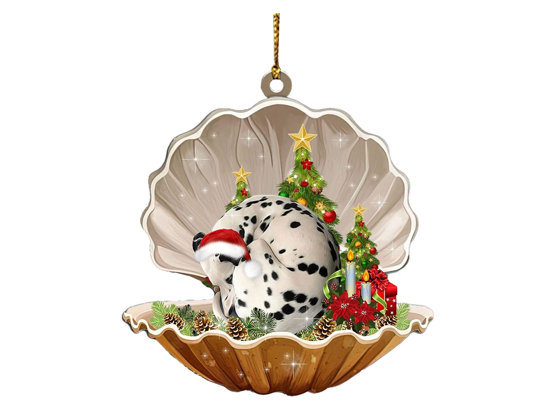 Placa Decorativa para Animais de Estimação e Carros LAXISCREED