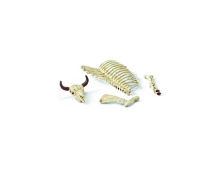 Conjunto de Acessórios  Ossos