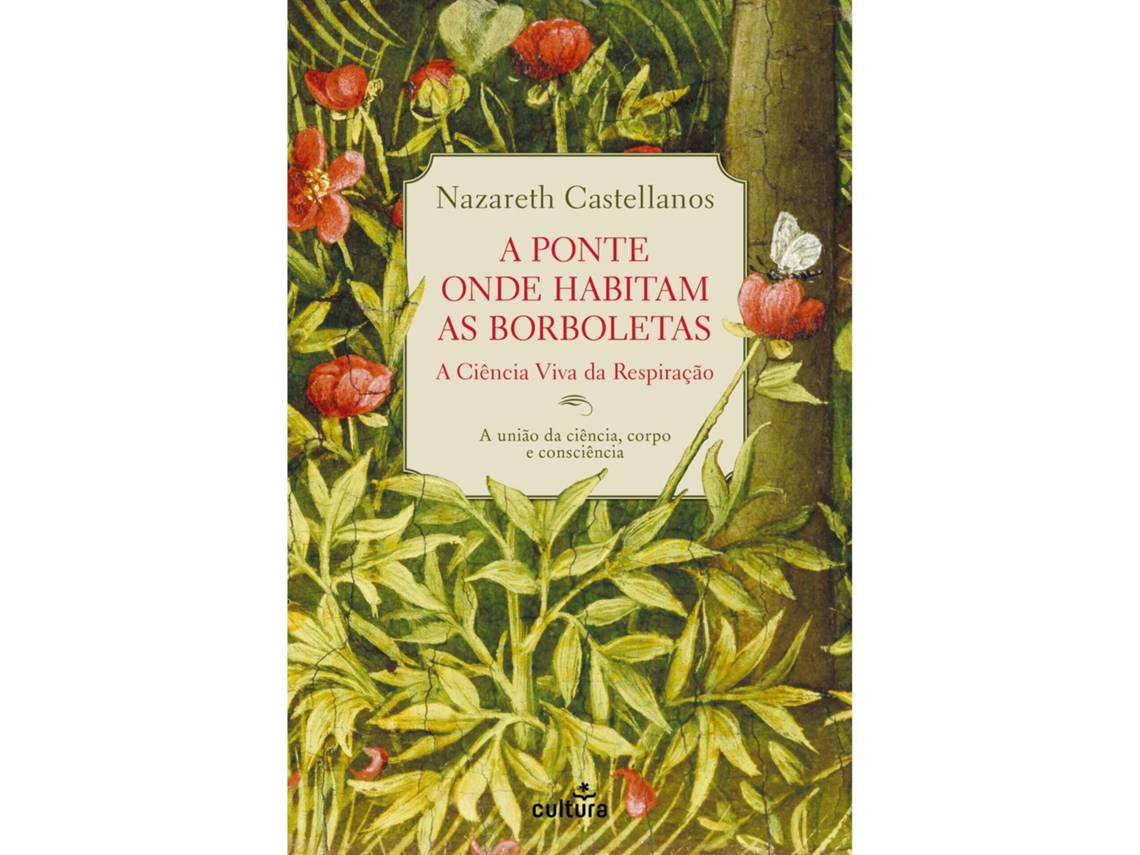 A Ponte Onde Habitam As Borboletas De Nazareth Castellanos