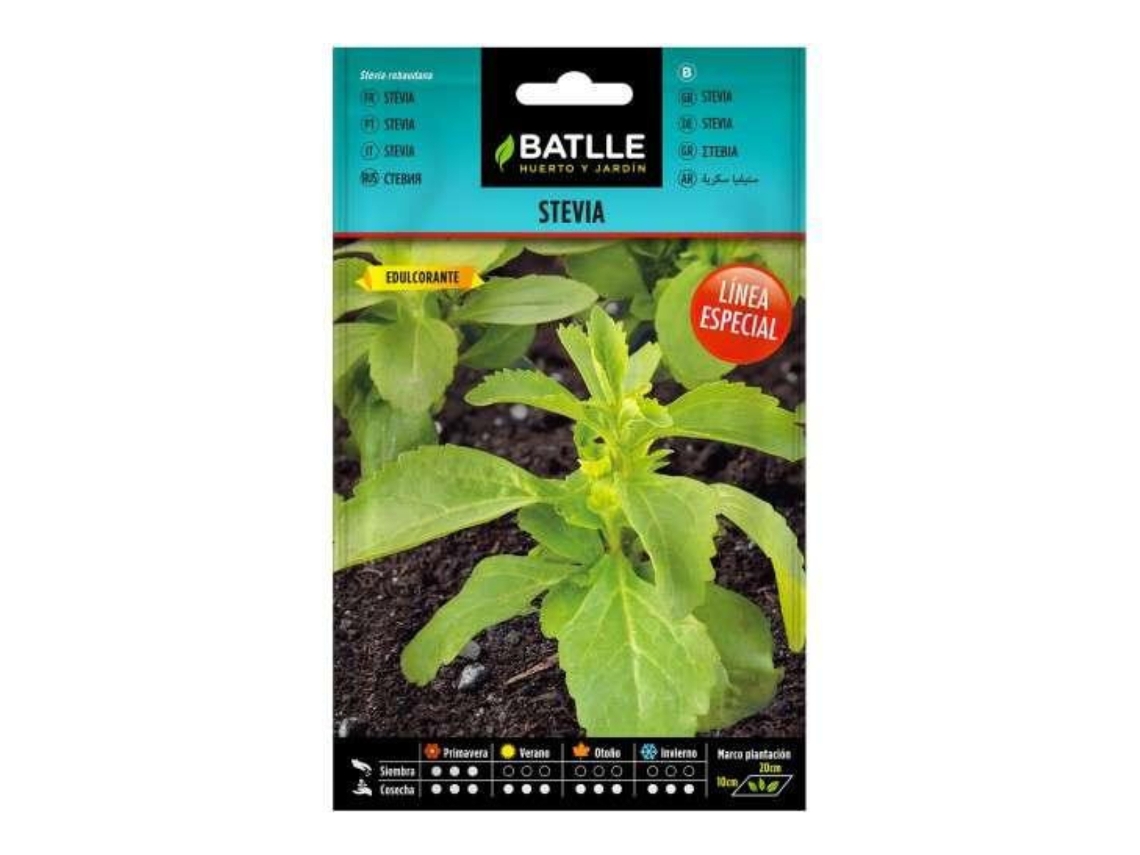 Sementes de estévia BATLLE