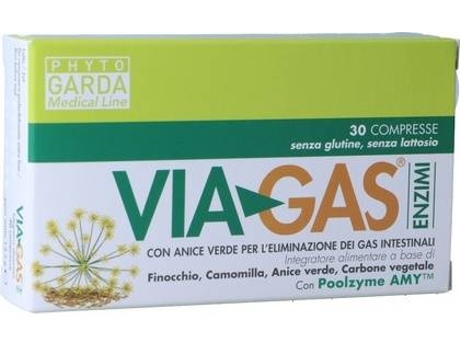 Suplemento Alimentar PHYTO GARDA Enzimas Viagas (30 comprimidos)