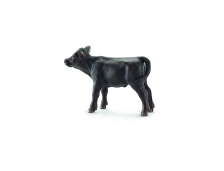 Figura  Vitelo Angus