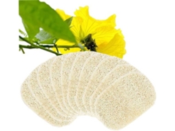 Escolha Sólida - Loofah De Esponja 10 Unidades - Loofah Natural - 13 X 8 Cm - Caixa De Sabão - Acessórios Para Duche/sala De Banho - Biodegradável