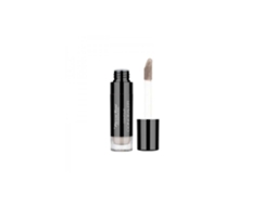 PIERRE RENE Professional Contour Concealer 01