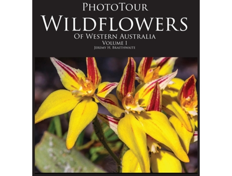 Livro Phototour Wildflowers Of Western Australia Vol1 A Photographic Journey Through A Natural Kaleidoscope De Braithwaite, Jeremy H Et Al. (inglês)