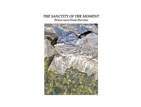 Livro The Sanctity of the Moment de Heather Tosteson (Inglês)