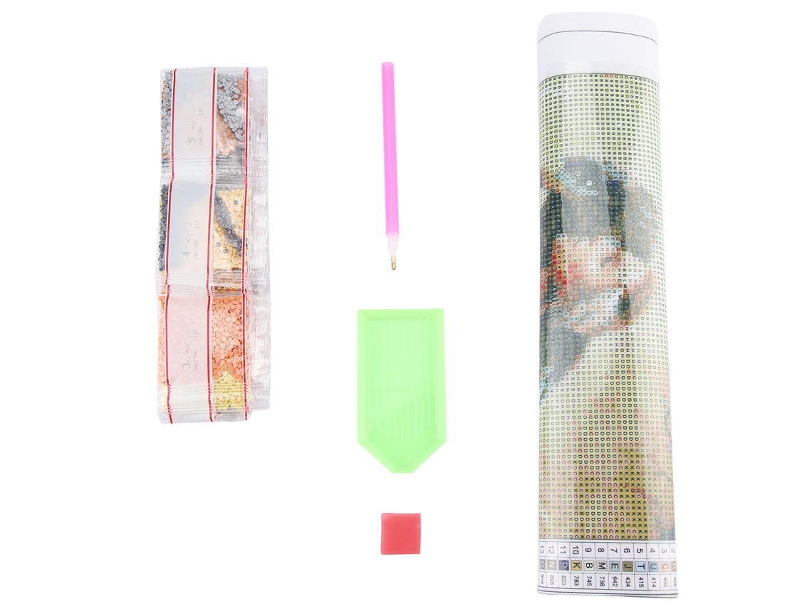 Pintura de Diamante DIY (Decoração com Strass de Cristal 5D e Perfuração Total)