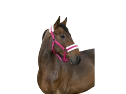 Cabresto para cavalos Norton Confort