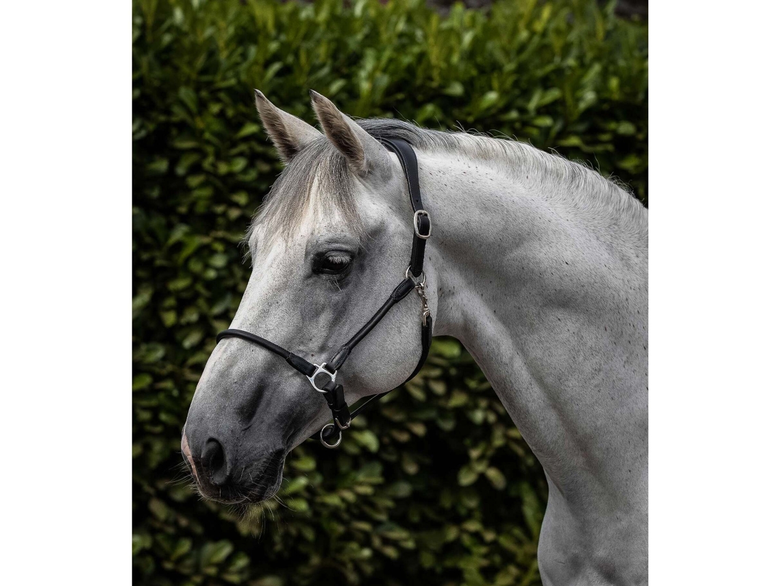 Cabresto anatómico laminado de couro para cavalos Premier Equine Hennaroso