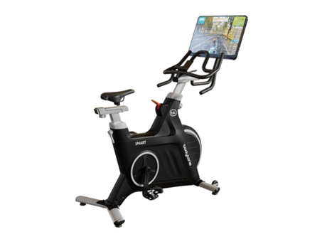Bicicleta De Spinning Bodytone Ab400sms Cinza Tela De Toque 24 Kg Gusshious