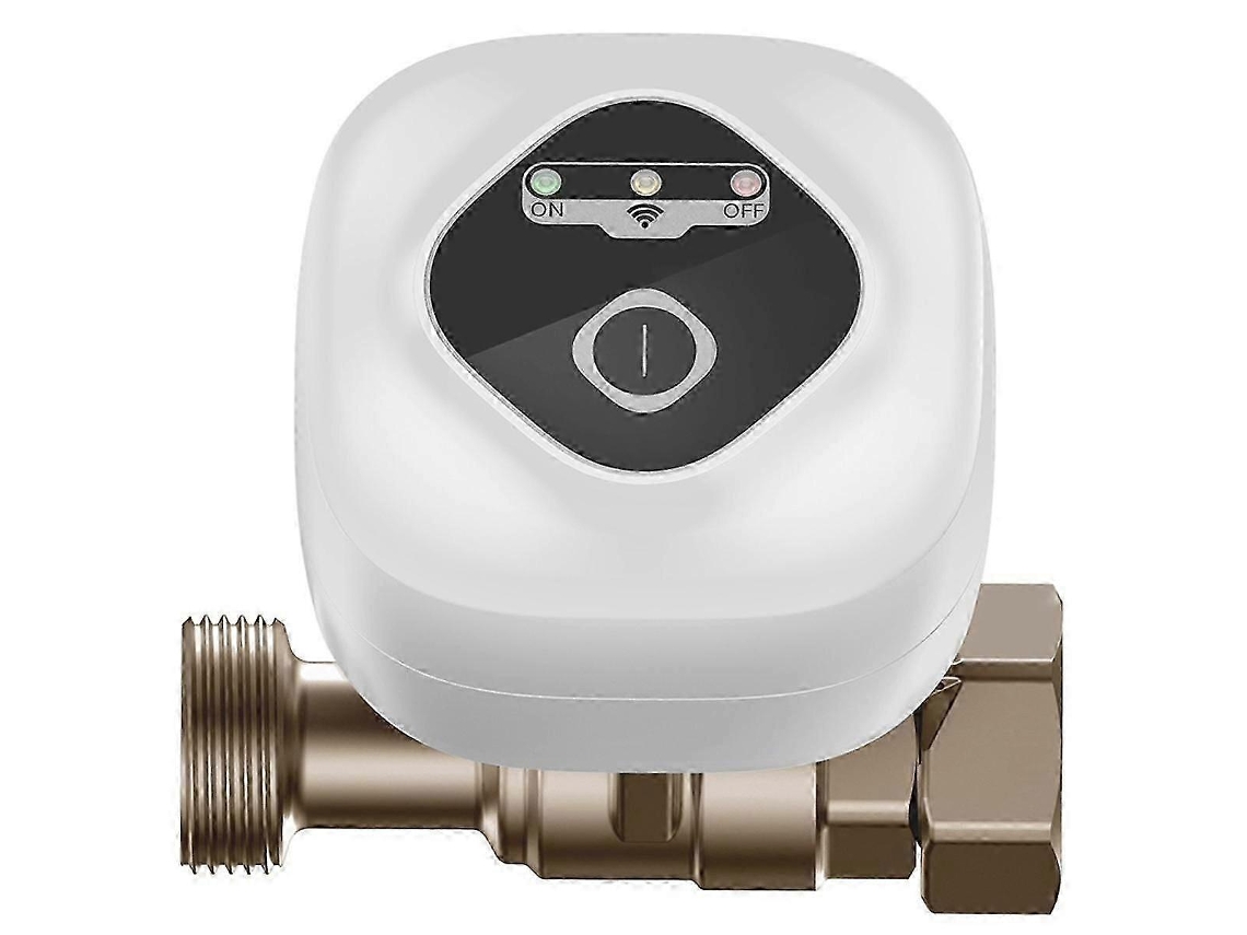 Válvula De Bola Inteligente Wifi Controle App Fechamento Automático Alarme Vazamento Eu (c)
