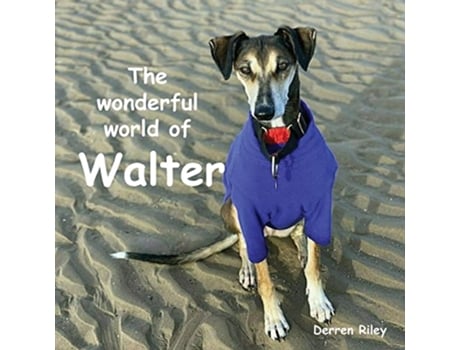 Livro The wonderful world of Walter de Derren Riley (Inglês)