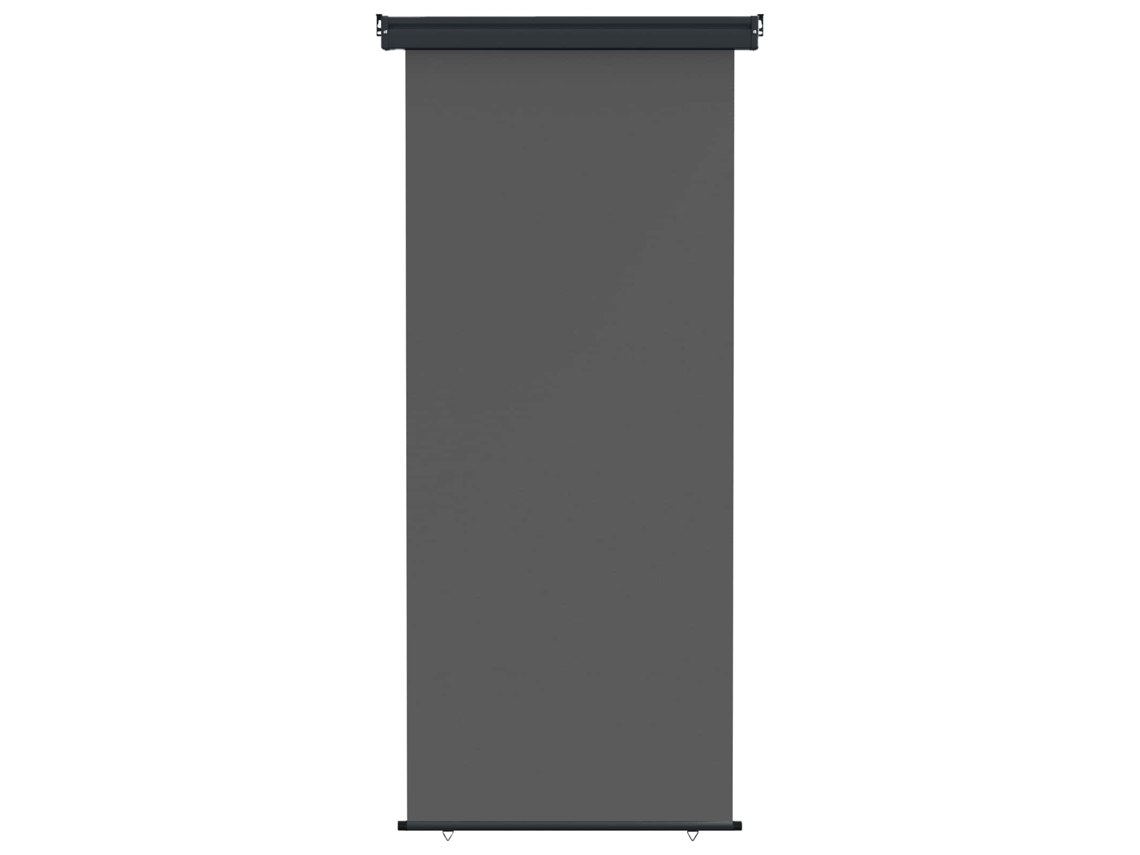 Vidaxl Toldo Lateral De Varanda 60 X 250 Cm