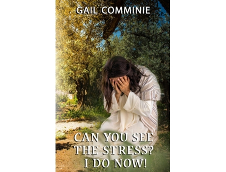 Livro Can You See The Stress? I Do Now! De Gail Comminie (inglês)