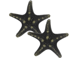 Puxadores De Armário Em Formato Estrela Do Mar Para Guarda Roupa, Em Liga De Zinco, 2 Peças
