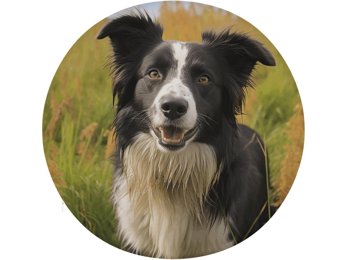Almofada De Borda Para Computador, Almofada De Meditação Mohado Com Estampa Border Collie, Almofadas Para Cadeiras De