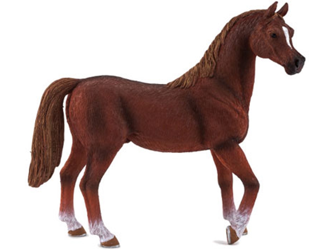 Figura Cavalo Árabe SCIENCE 4 YOU