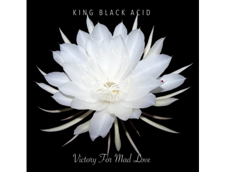 King Black Acid Victory For Mad Love Vinil Edição Limitada Rsd 2024