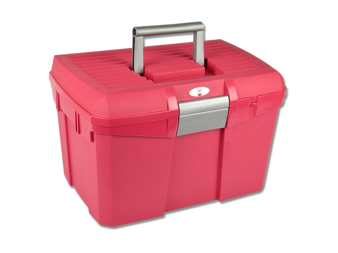 Caixa de Armazenamento Lockable Douradowaldhausen