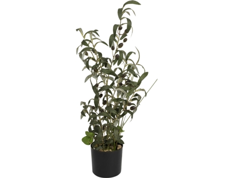 Planta Artificial EUROPALMS Olive (Verde - 68 cm)