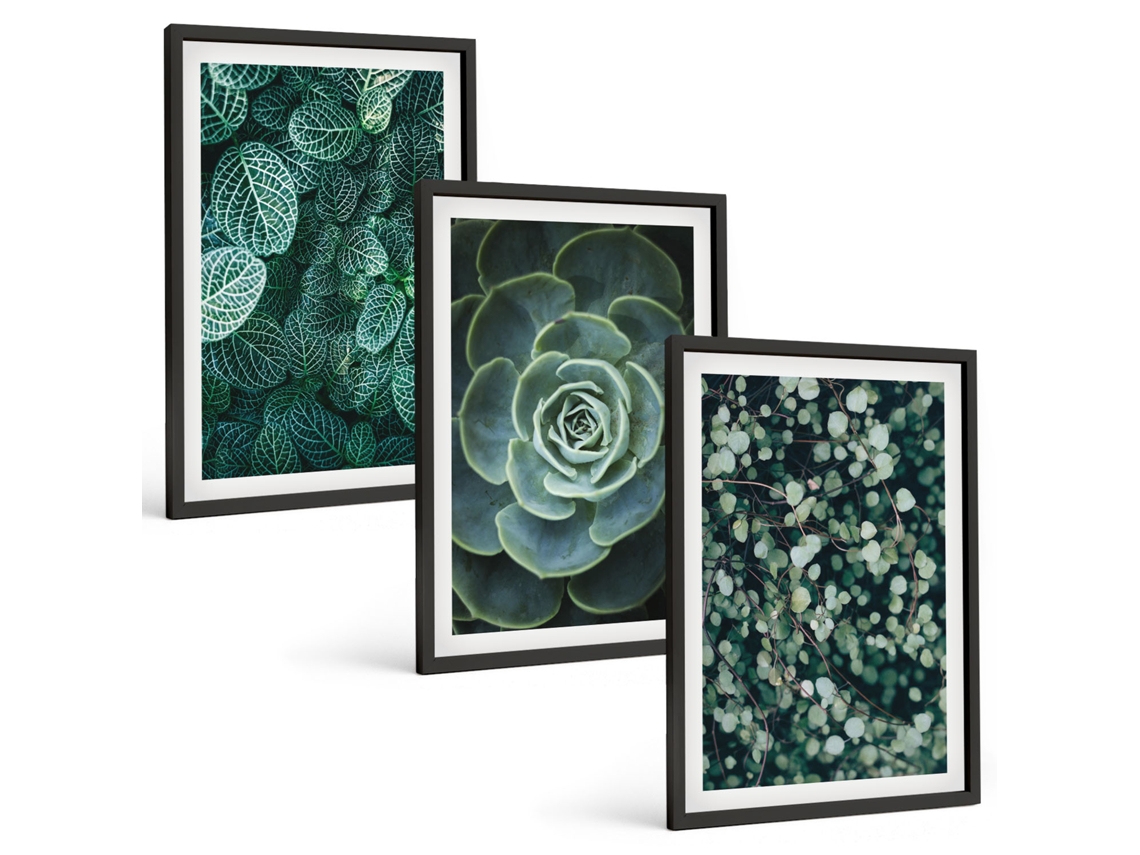 Conjunto De Pinturas Suculentas Moldura Preta Quadros Para O Escritório Espelharte (3 Piezas De 40x60 Cm)