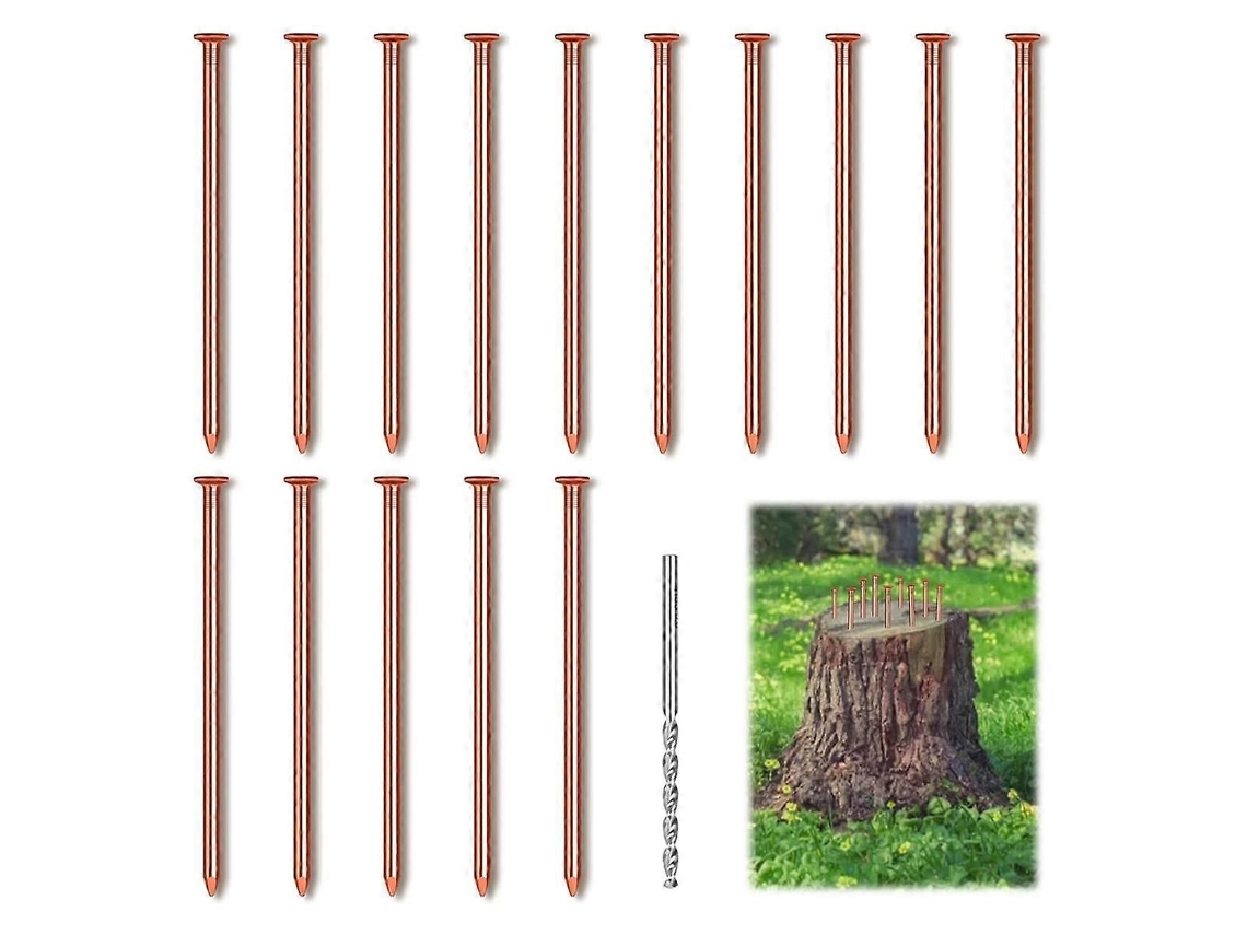 15 Pregos De Cobre Para Remover Tocos E Raízes, 3,14 Polegadas, Com Broca Para Aplicação