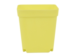 Vaso de Suculenta com Buracos de Drenagem Primerox para Jardim e Varanda