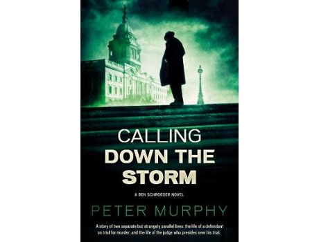Livro calling down the storm de peter murphy (inglês)