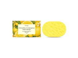 Esponja Exfoliante Banho Pele Suave Limpa