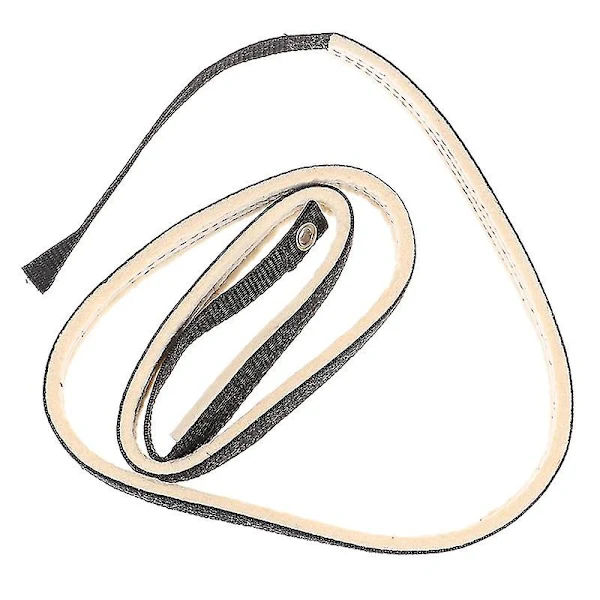 Bicicleta Ergométrica Com Cinto De Potência, Plataforma Freio Fricção E Para Exercícios.-aquaforge